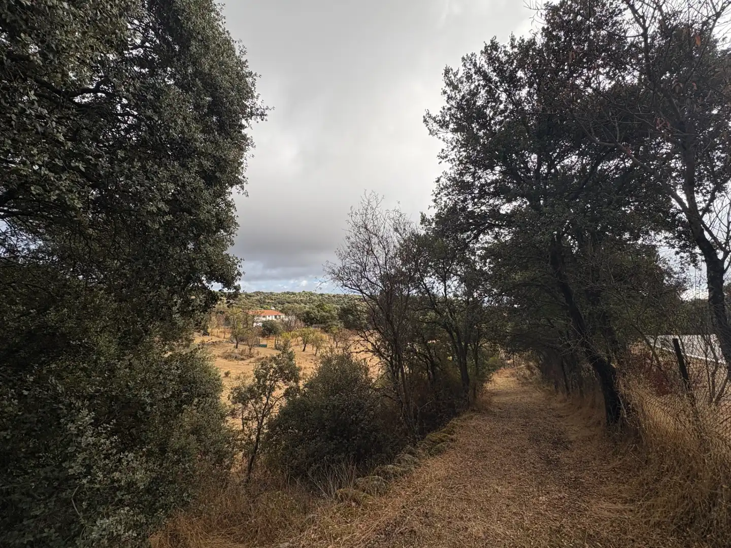 Country homes for sale in Cenicientos