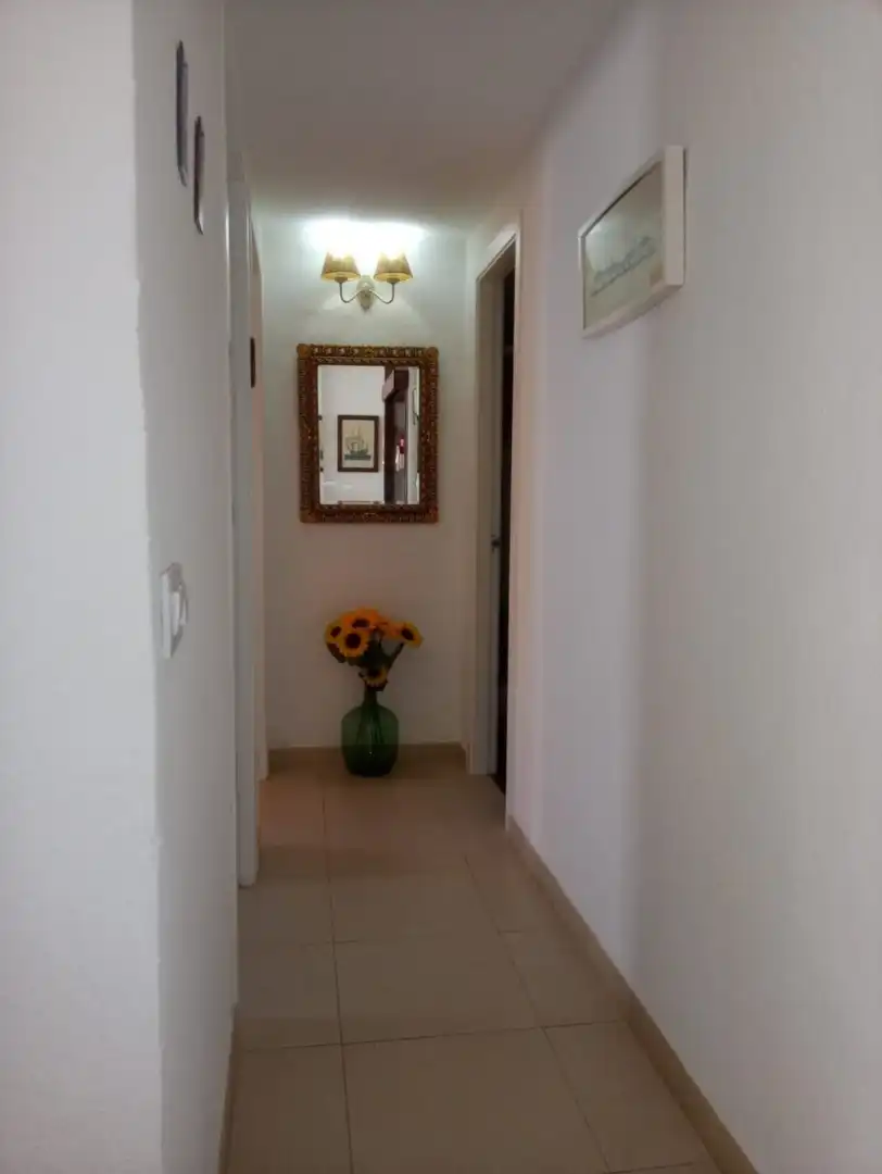 Flat with lift to rent in Paseo Marítimo - San José - La Laguna, imagen 8