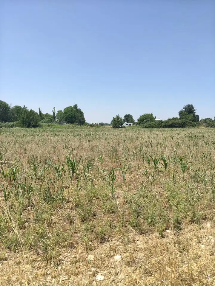 Terreni e lotti in vendita a Camino de Zamoray, imagen 19