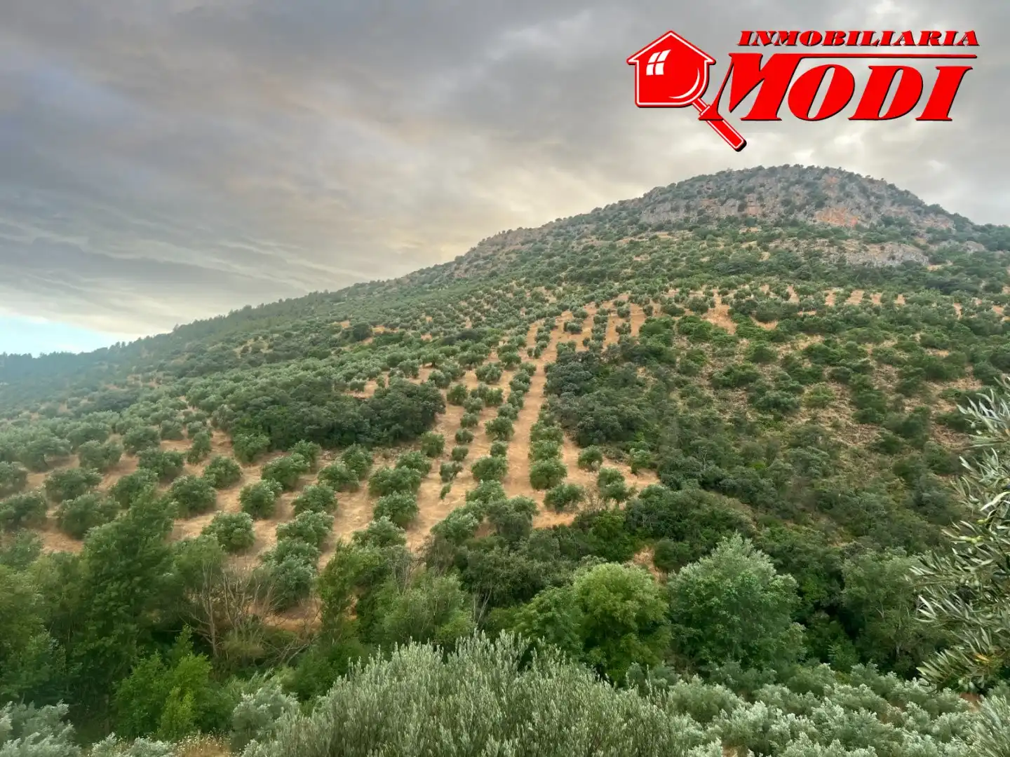 Terreni e lotti in vendita a Padul, imagen 6