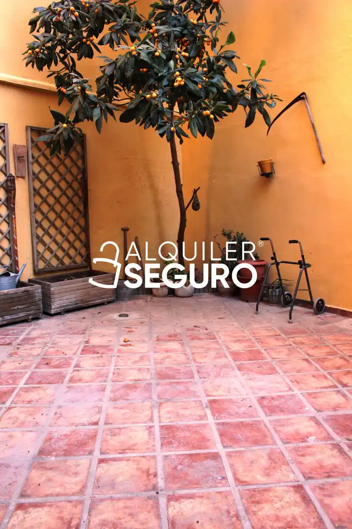 Chalet en alquiler en Vicente Lleo, imagen 11