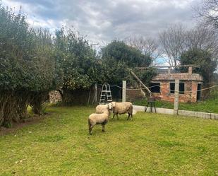 Jardí de Casa o xalet en venda en O Rosal   amb Jardí privat i Traster