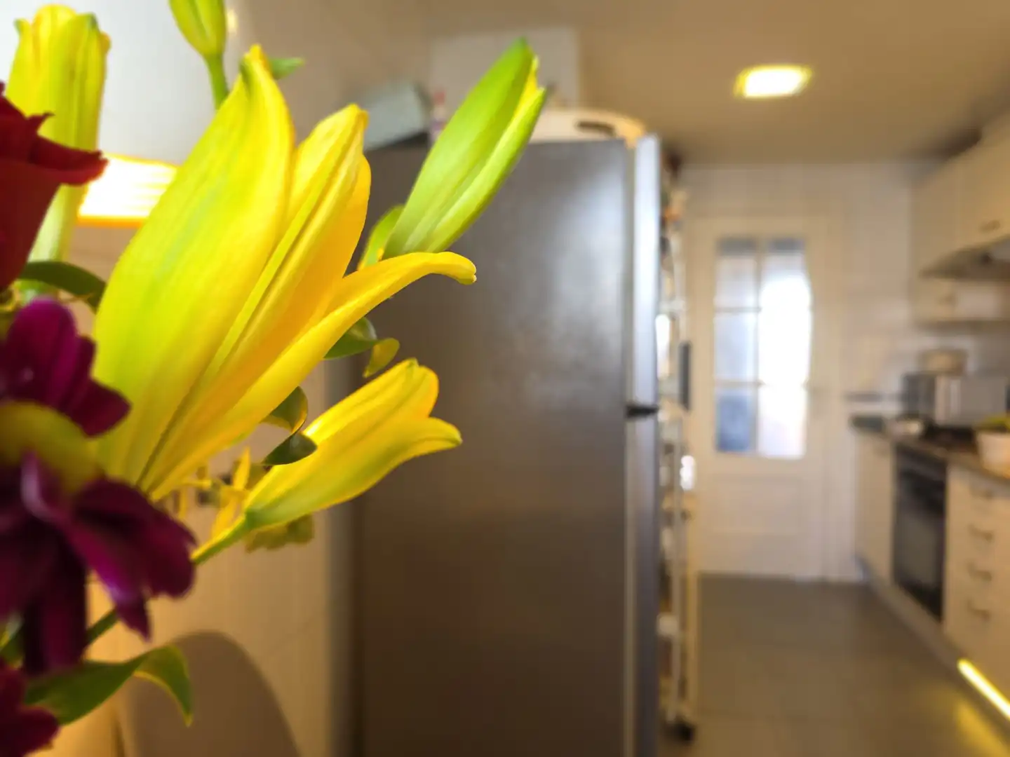 Cocina de Piso en venta en Valencia con Aire acondicionado, Calefacción y Terraza