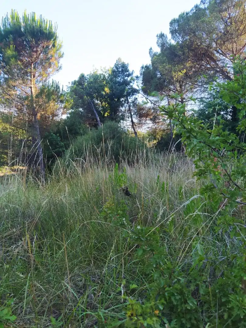 Finca rústica en venta en Riells i Viabrea