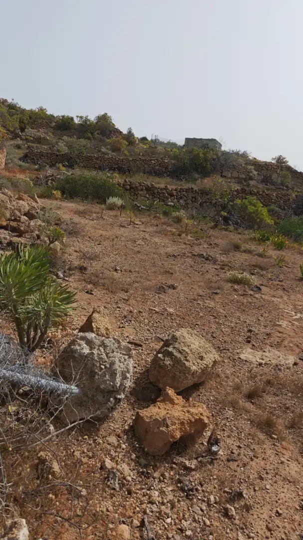Terreno en venta en Arico