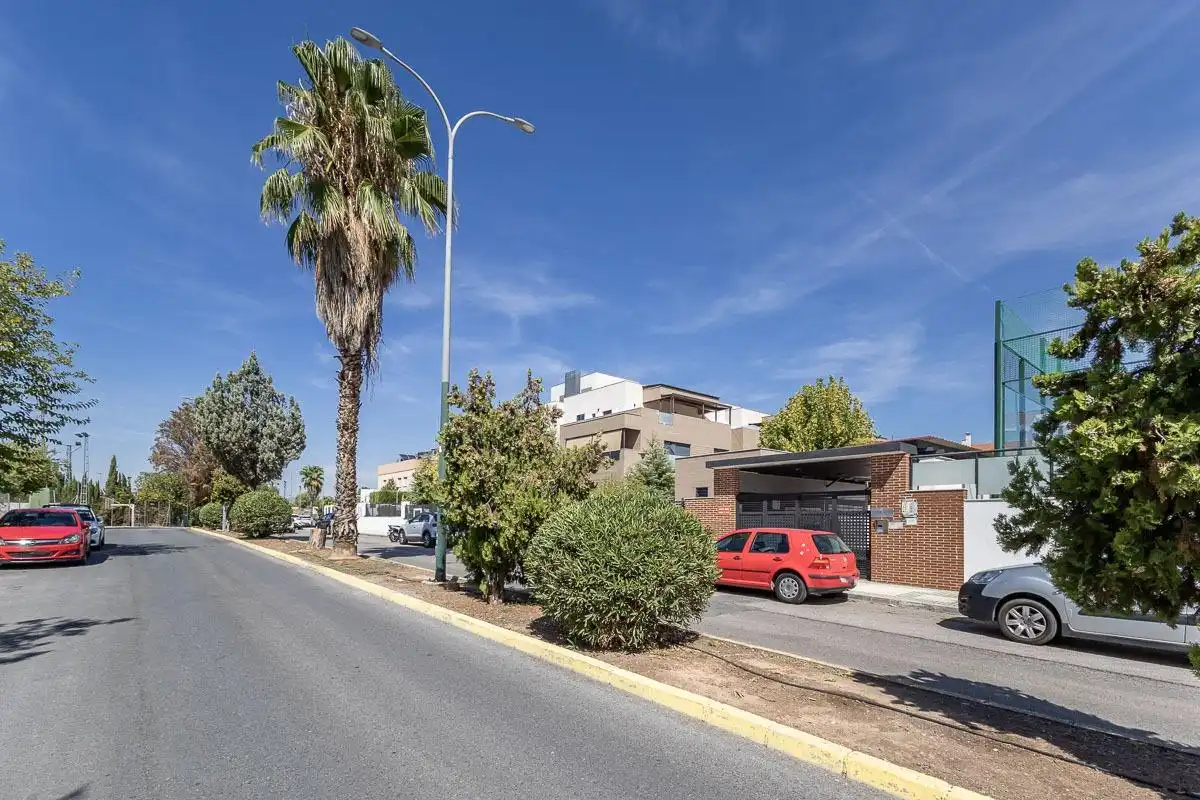 Piso con piscina en venta en Loma Verde, imagen 43