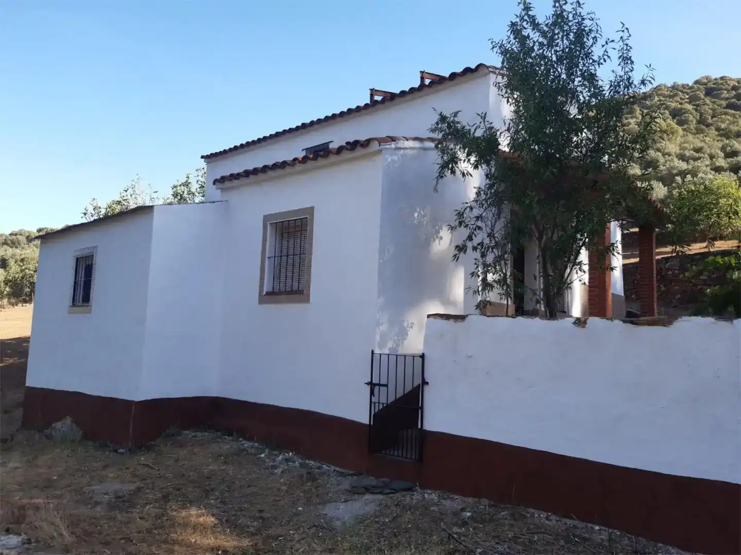 Vista exterior de Finca rústica en venta en Fuentes de León