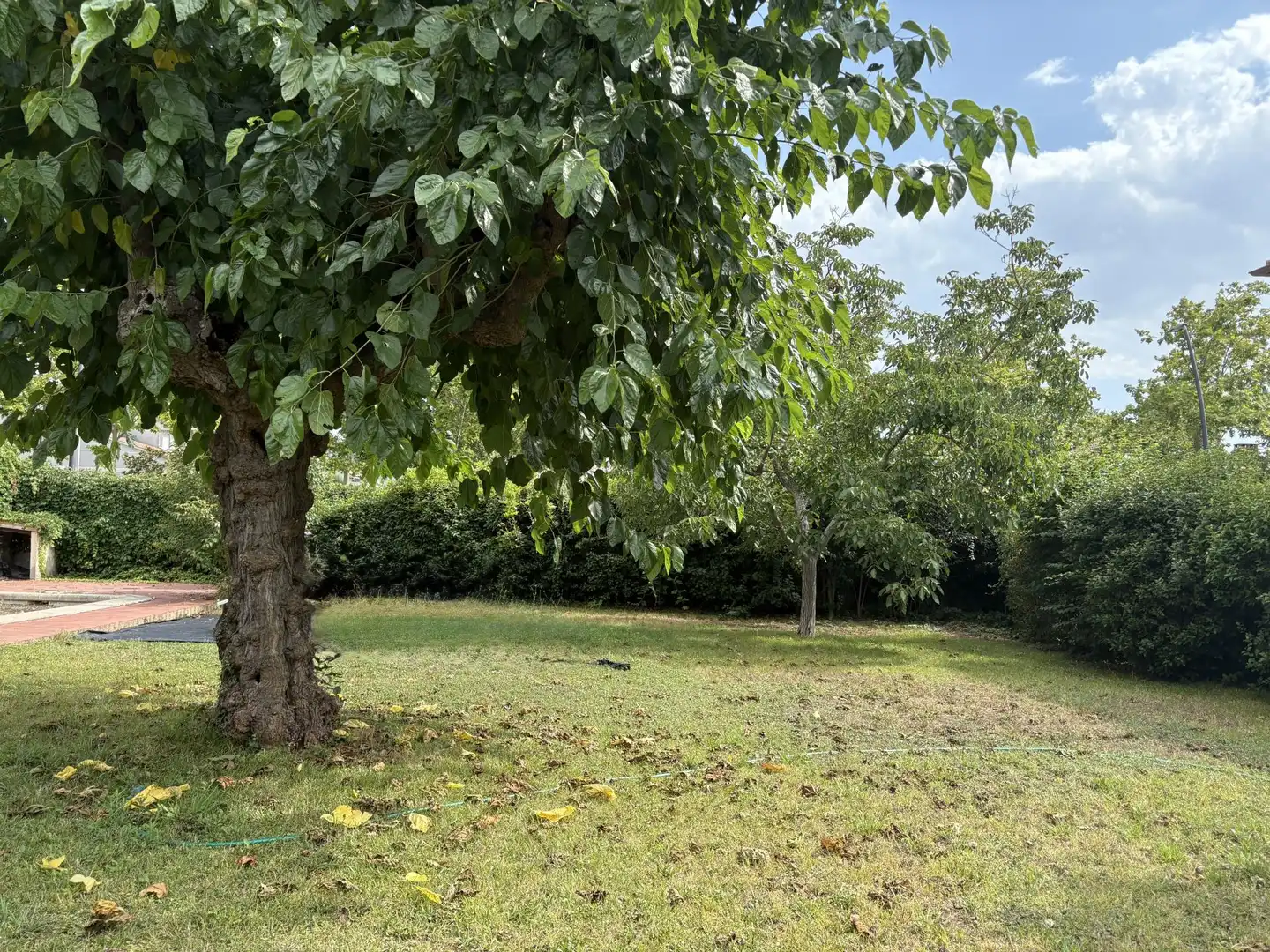 Terreno residenziale in vendita a Rei en Jaume 437