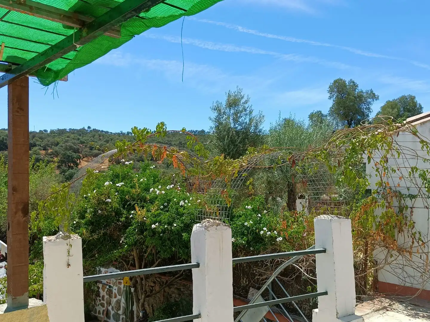 Jardín de Casa o chalet en venta en Campofrío con Calefacción, Jardín privado y Terraza