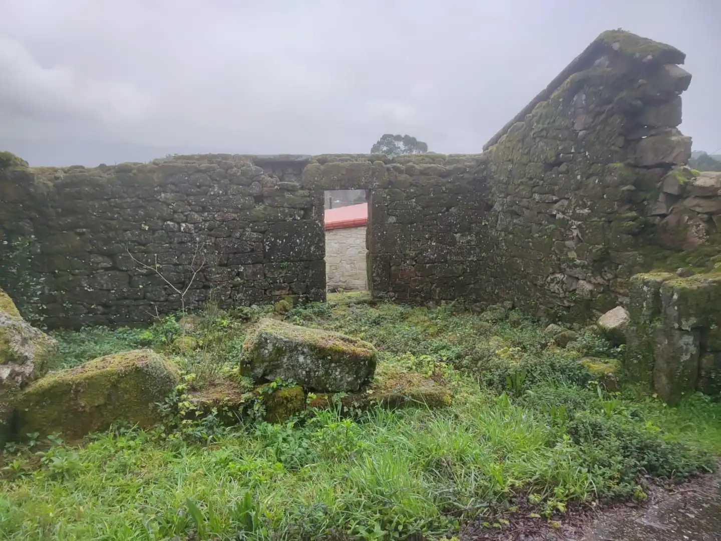 Terreno rustico in vendita a Ponte Caldelas, imagen 8