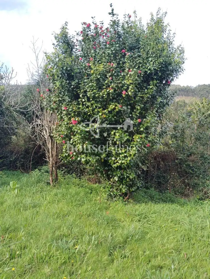 Chalet con jardín en venta en Valdoviño, imagen 37