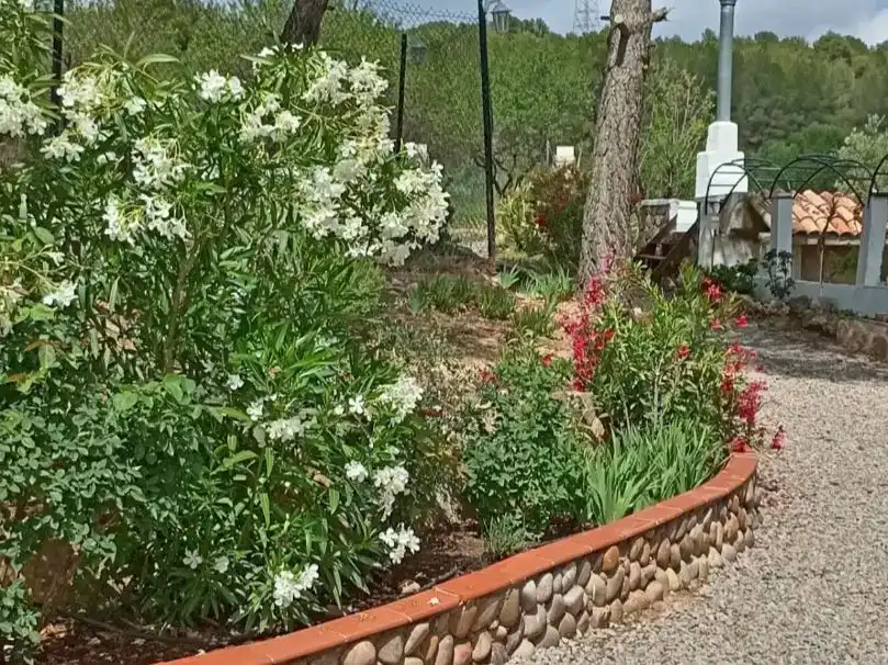 Jardí de Casa o xalet en venda en Andilla, Valencia