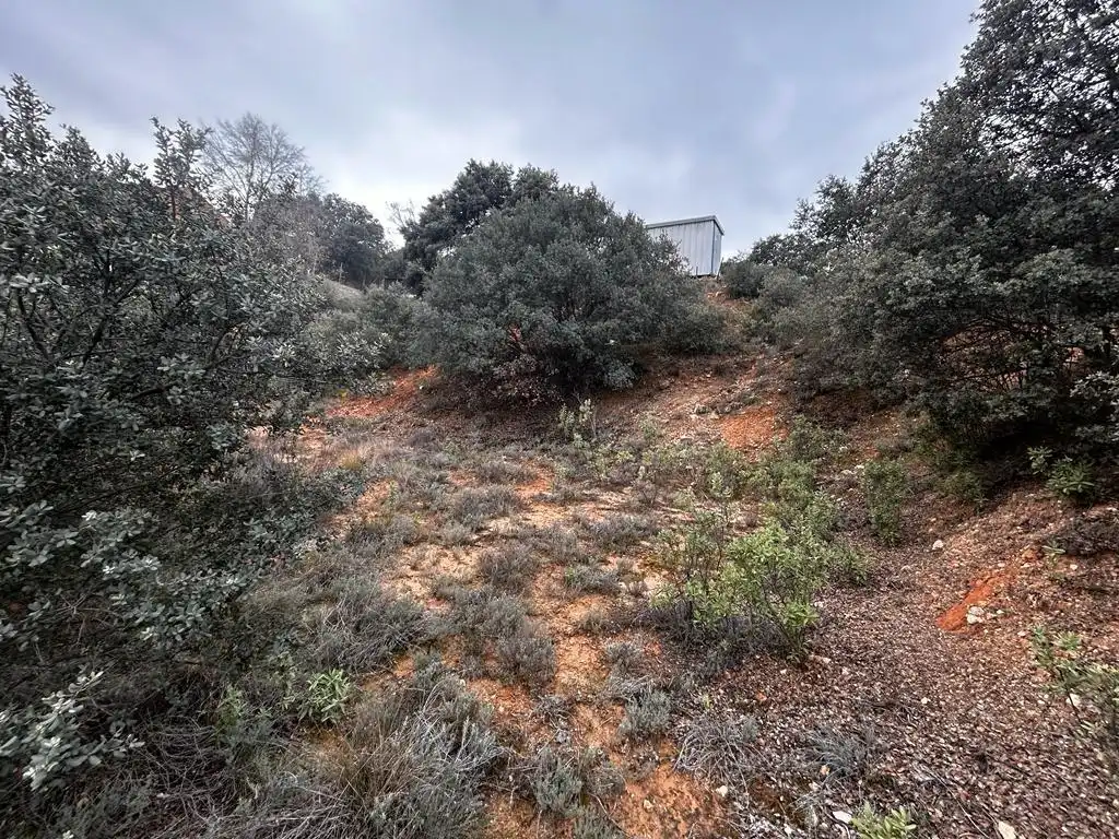 Terrenos y solares en venta en Hontoba, imagen 8