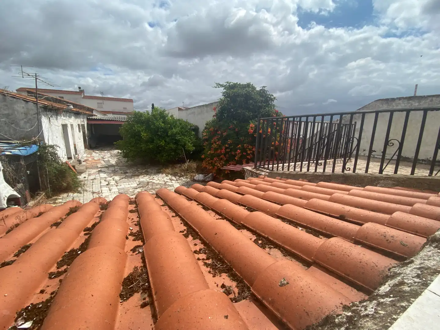 Casa in vendita a Olivenza, imagen 6