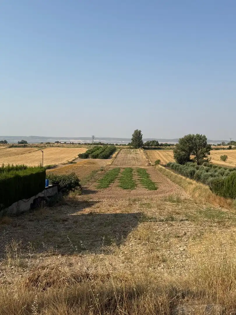 Terrain rustique à vendre à Barrios rurales del oeste, imagen 5