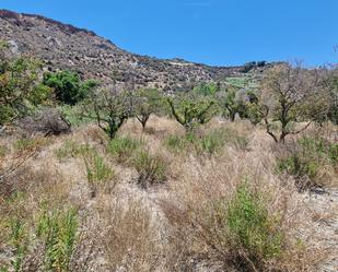 Land for sale in Calle de Miguel Navarro Sanchez, 4, Canjáyar