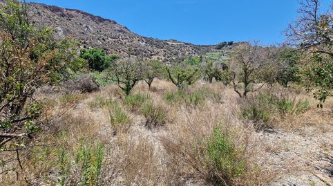 Terreno 3500 m² en Canjayar, Paraje Río Chico, vallado con agua de acequia y muy buen acceso