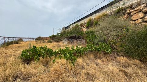 Foto 2 de Terreno en venta en Albuñol, Granada