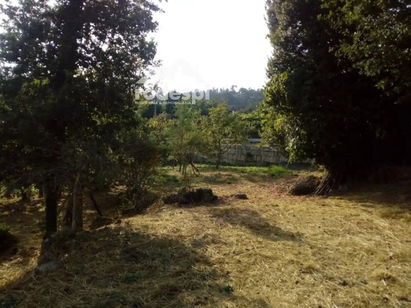 Terreny rústic en venda a Crecente, imagen 4