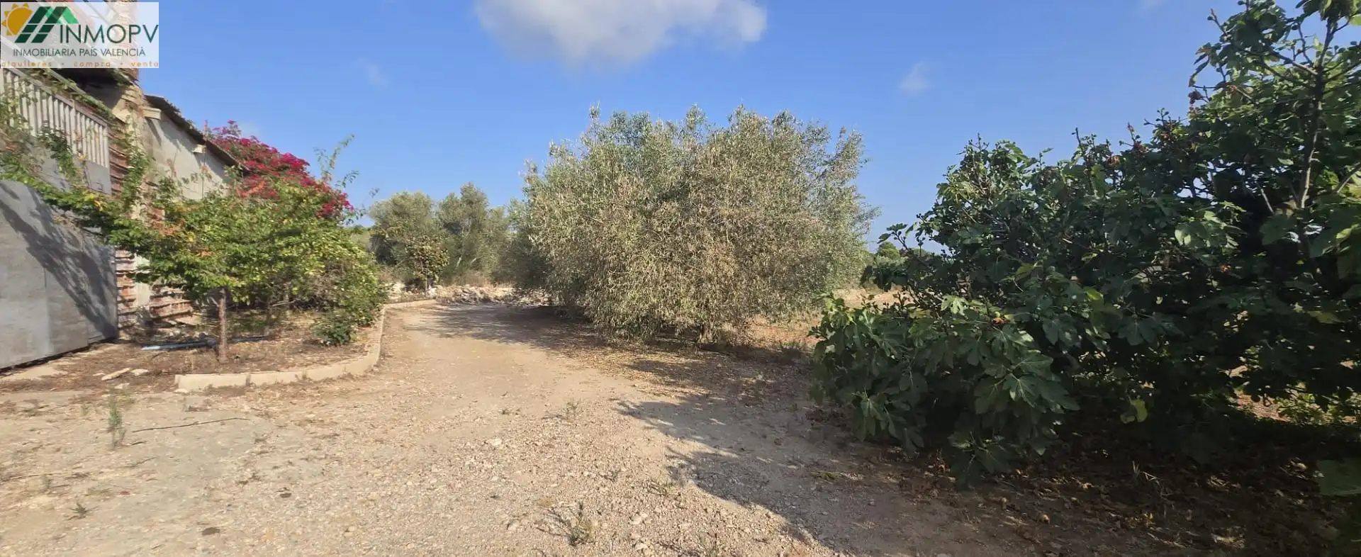 Finca rústica en venda en Vinaròs