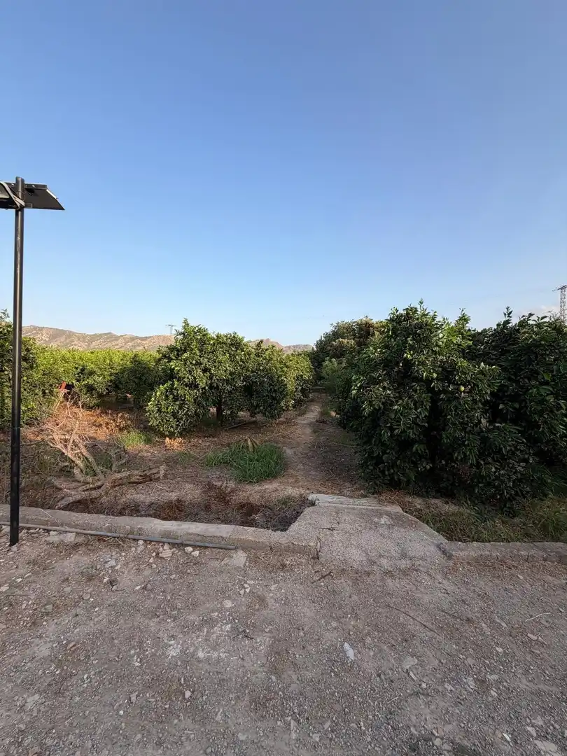 Maison rustique à vendre à Camino CAMINO PLAZAS 16, imagen 36