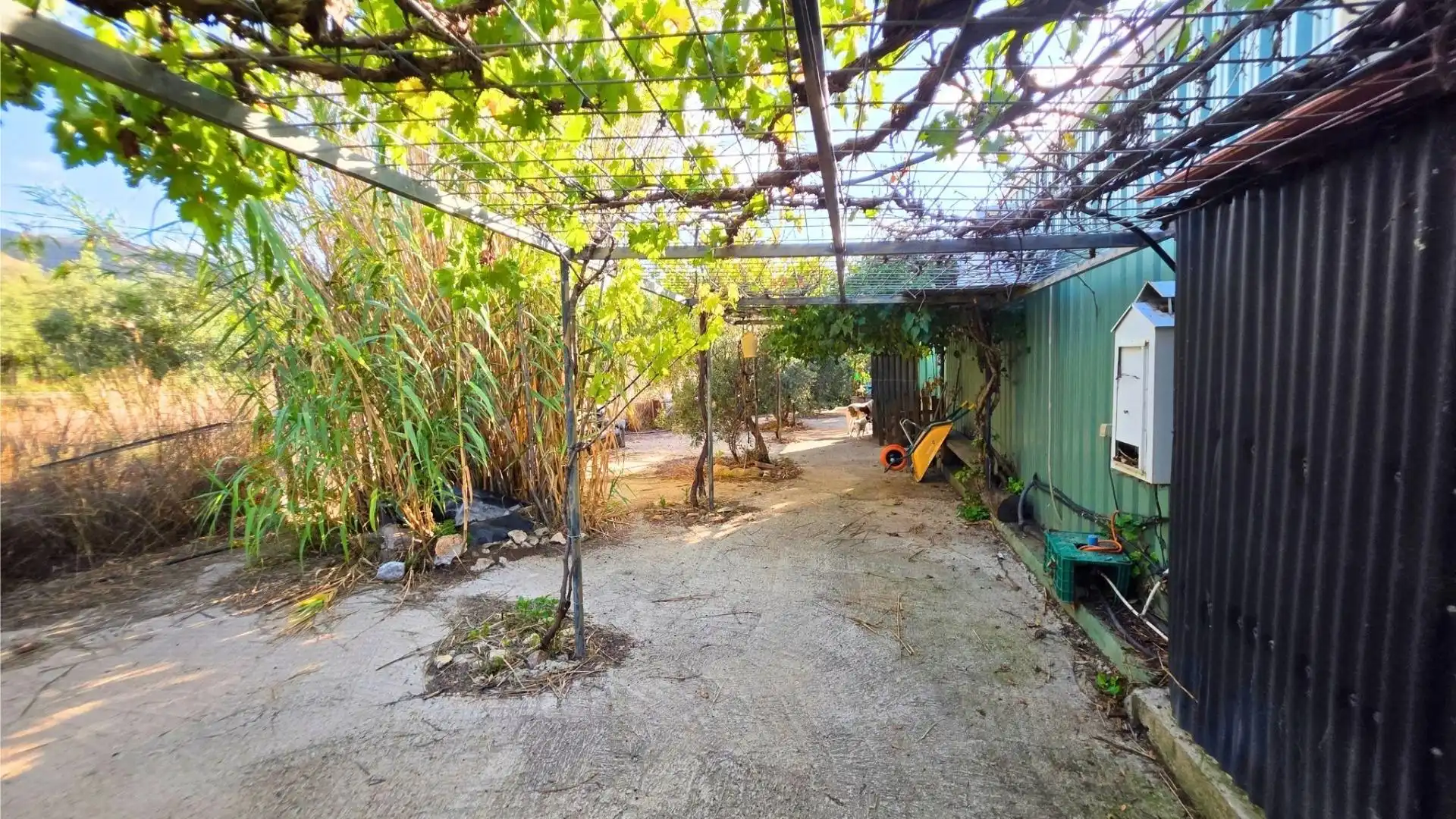 Jardí de Casa o xalet en venda en Laujar de Andarax, Almería