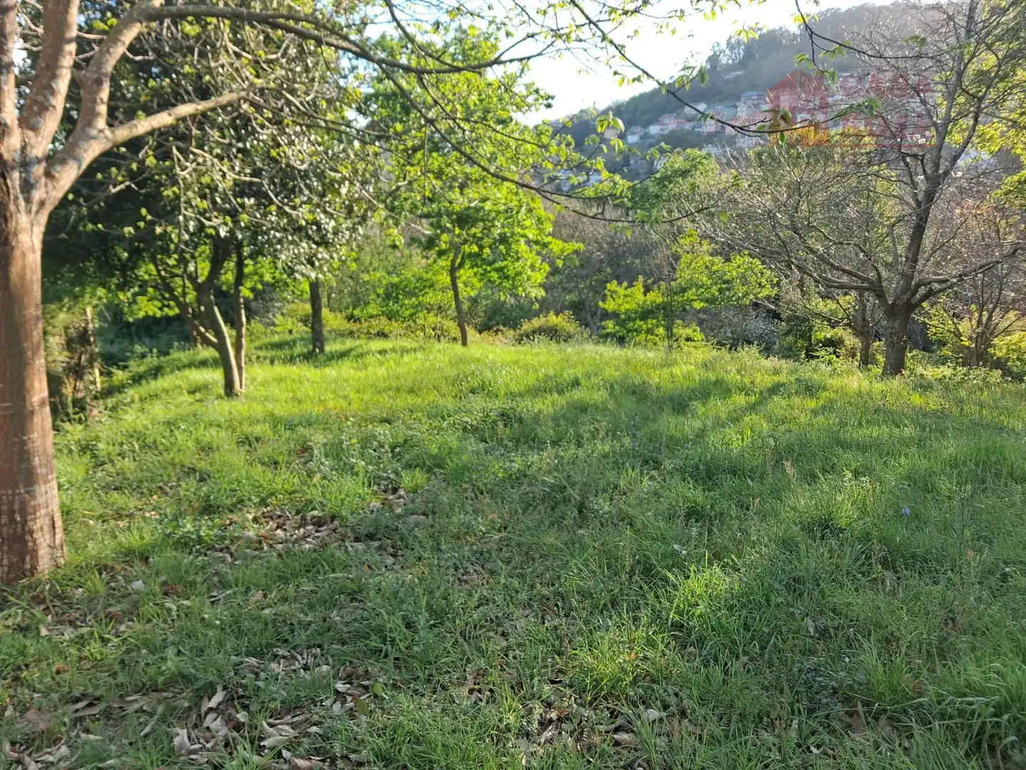 Maison à vendre à Moaña, imagen 10