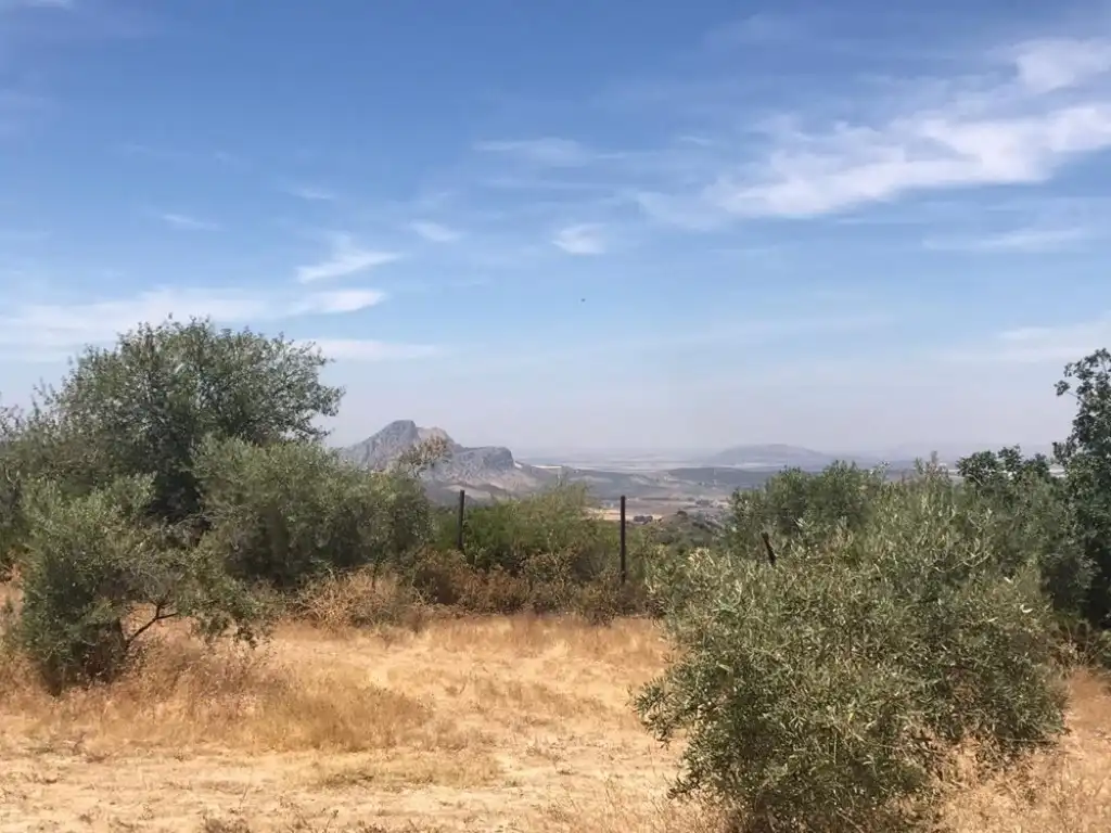 Immobles singulars en venda a Archidona, imagen 4