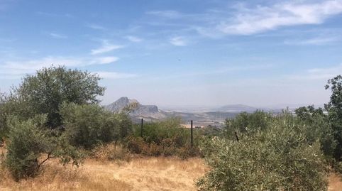 Descubre la auténtica vida rural en Archidona con esta impresionante propiedad!, imagen 4