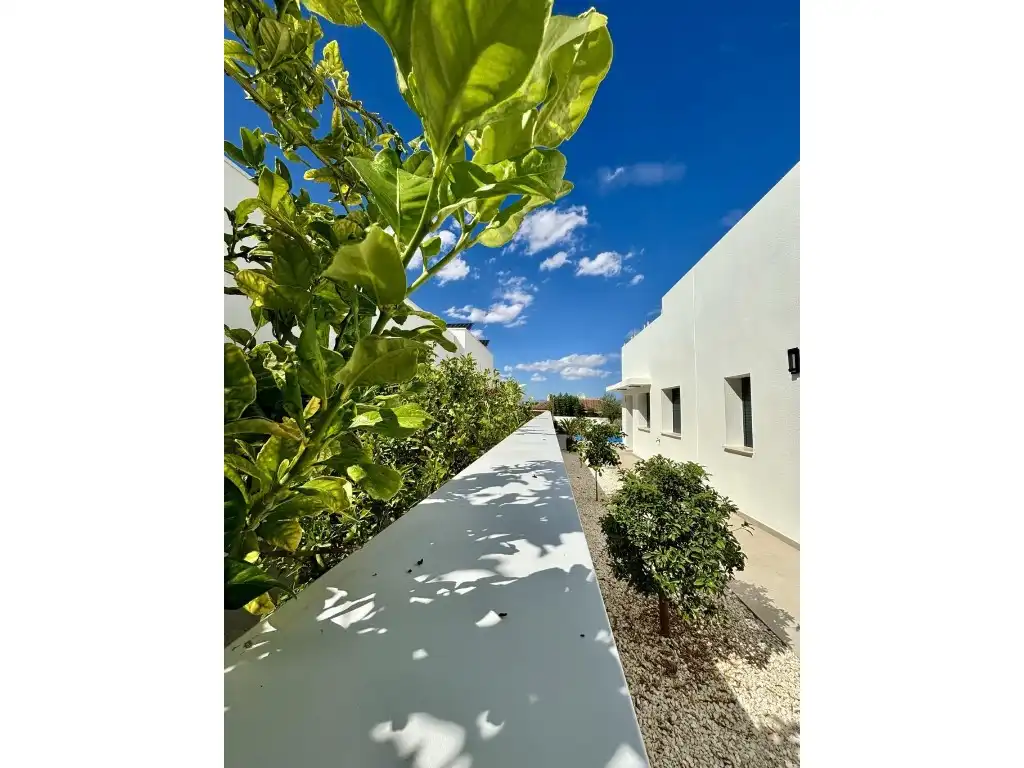 Casa con piscina en venta en Benijófar, imagen 6