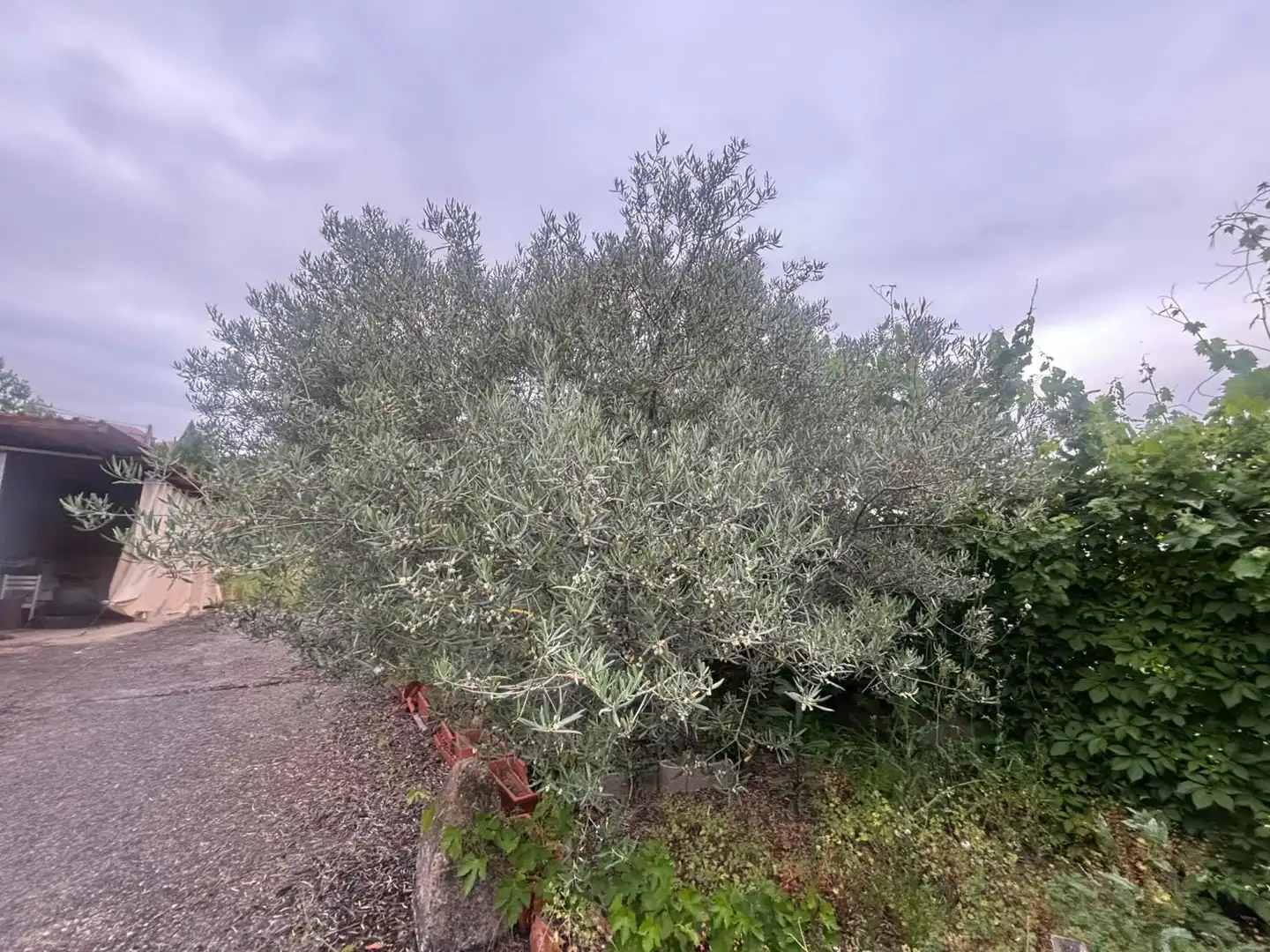 Houses for sale in sorzano, Sojuela