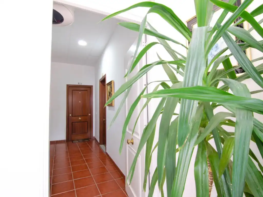 Casa o chalet en venta en Brenes