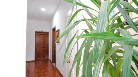 Foto 2 de Casa o chalet en venta en Calle Antonio Perez Perez, Brenes, Sevilla