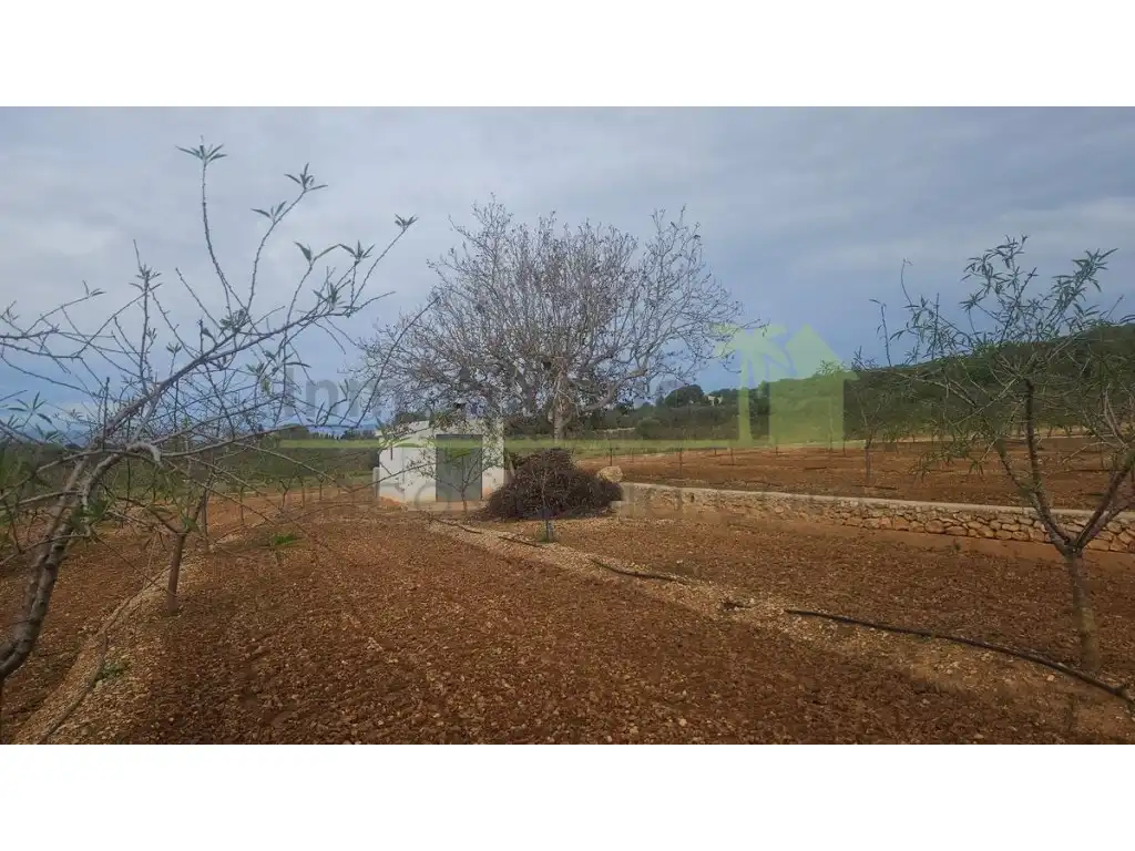 Wohnbaugrundstück zum Verkauf in Ulldecona, imagen 2
