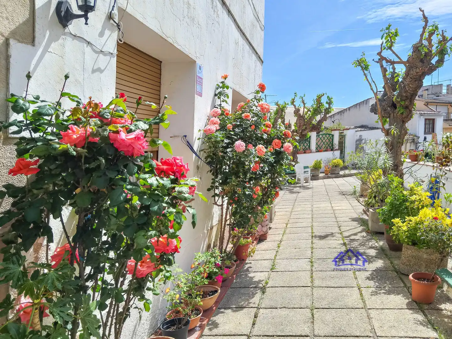 Vista exterior de Finca rústica en venda en Arenys de Mar amb Calefacció, Jardí privat i Terrassa