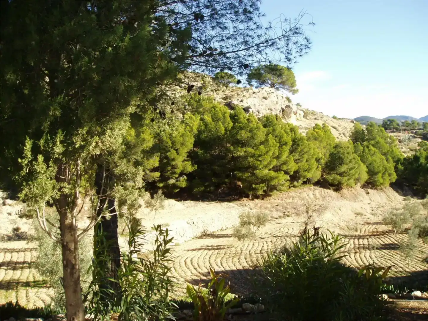 Finca rústica en venda en Onil amb Piscina i Balcó