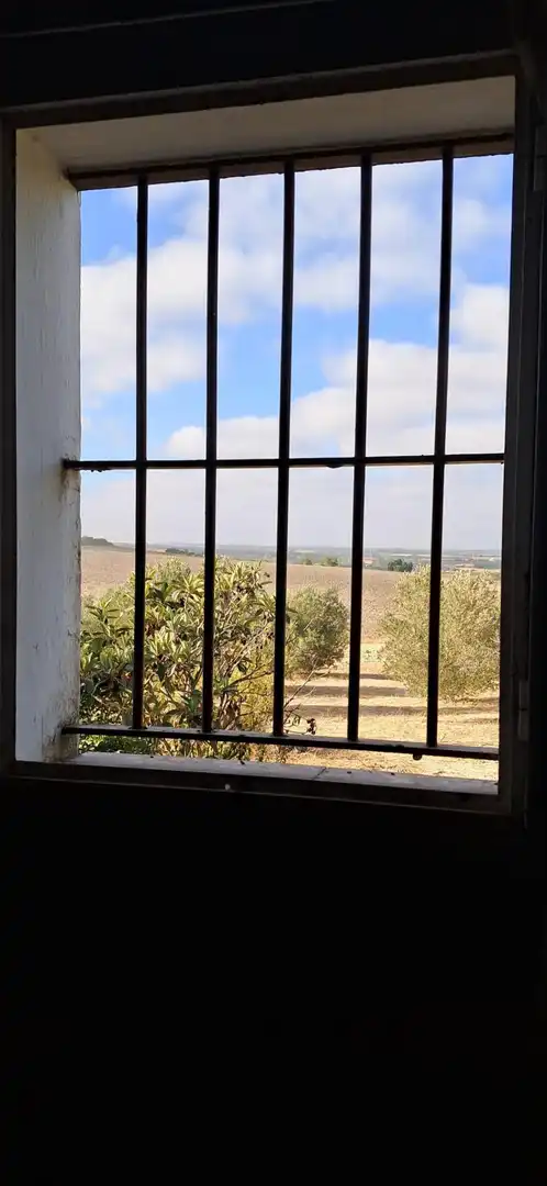 Casa rústica en venda a Arcos de la Frontera, imagen 41