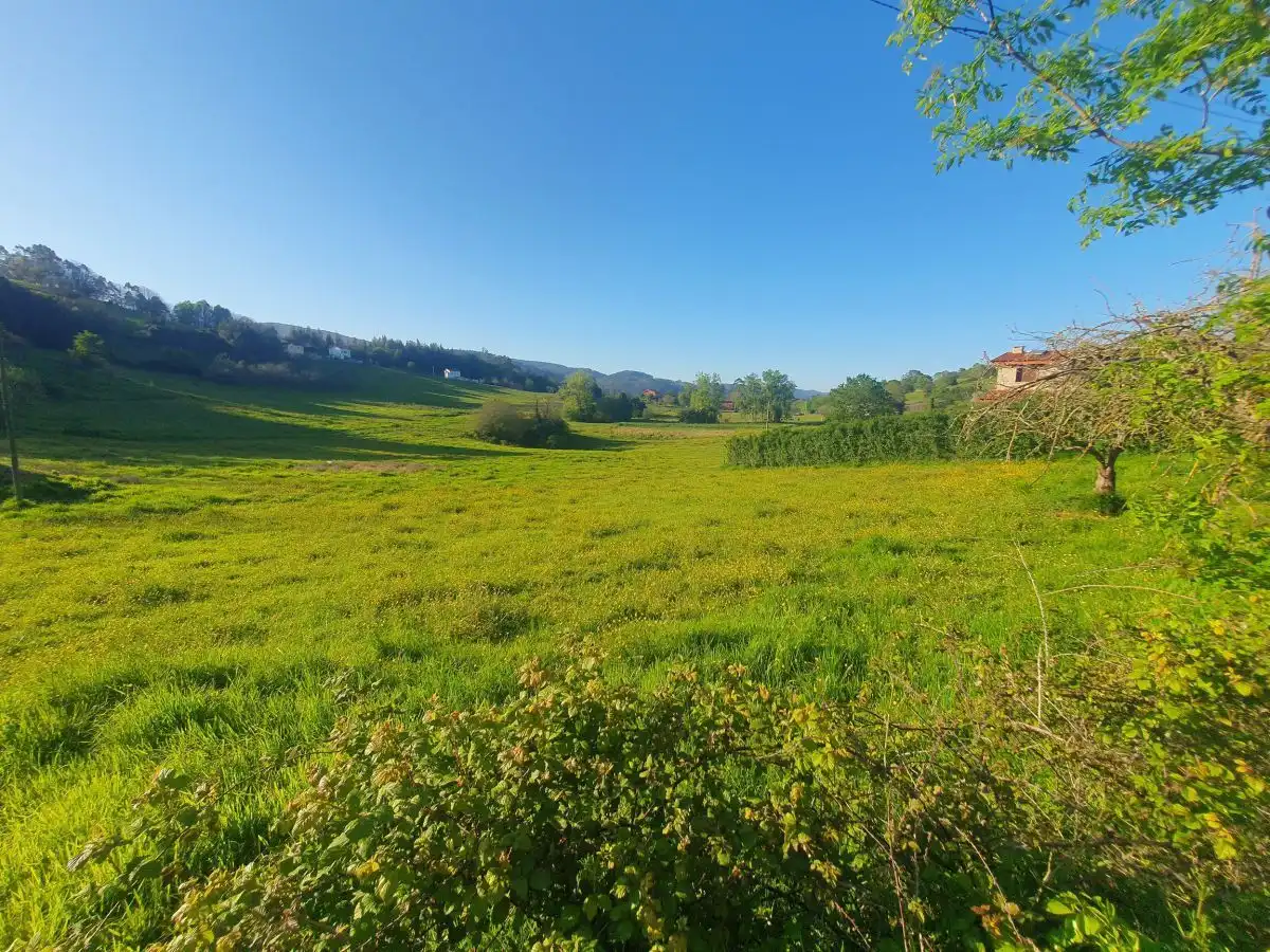 Terrenos y solares en venta en Salas, imagen 4