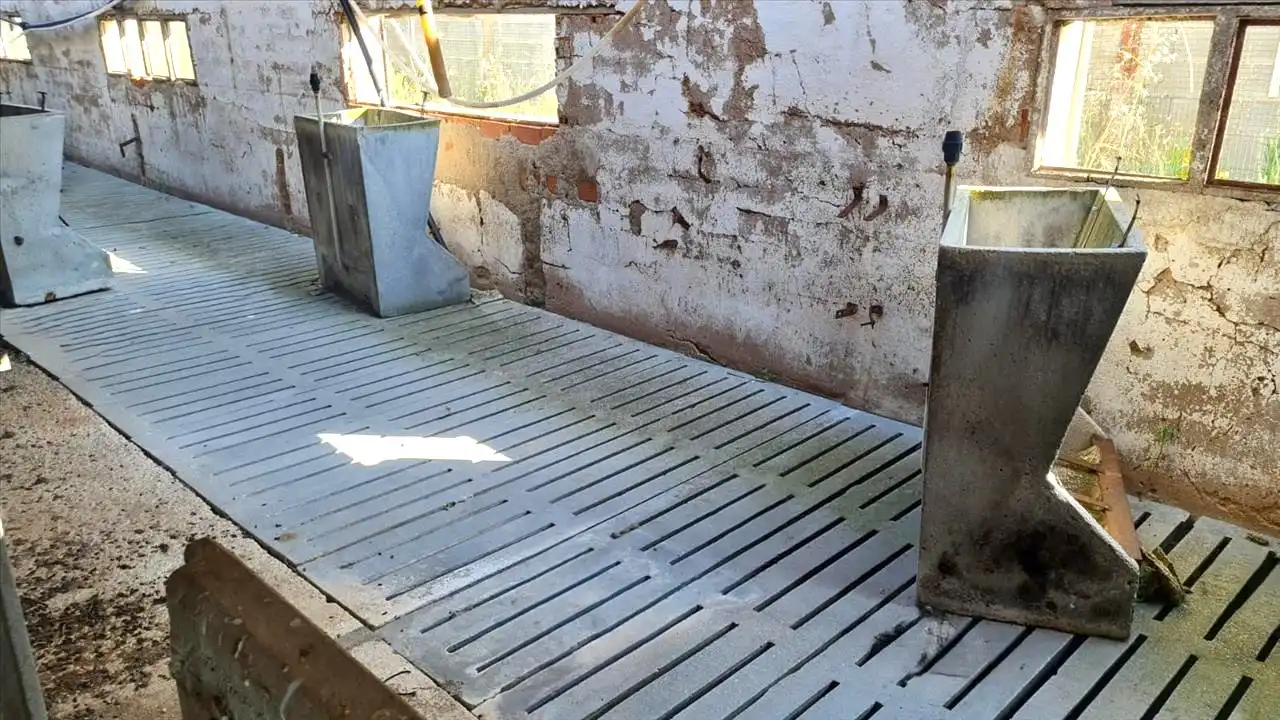 Terrasse von Geschaftsraum zum Verkauf in Aniñón
