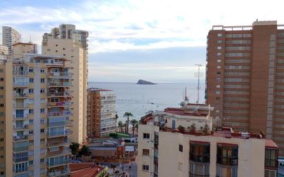 Vista exterior de Apartament en venda en Benidorm amb Aire condicionat i Terrassa