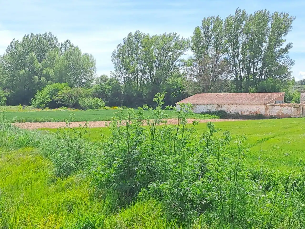 Casa o xalet en venda en Revillarruz amb Jardí privat i Terrassa