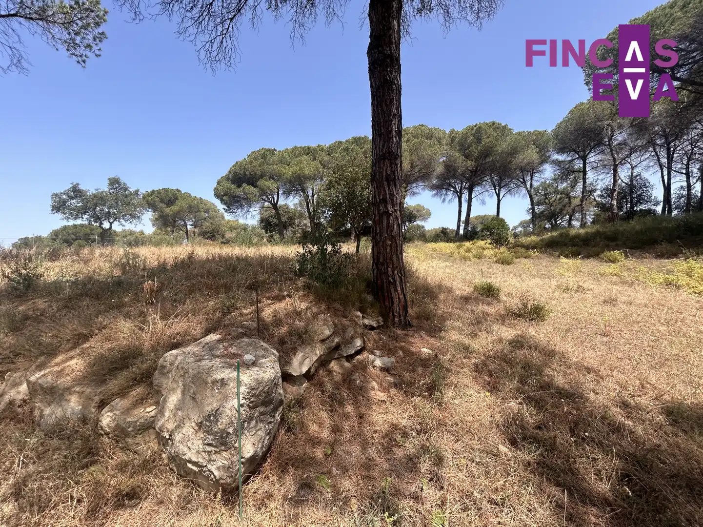 Rural land for sale in Vallromanes - CL SANT ANDREU, imagen 12