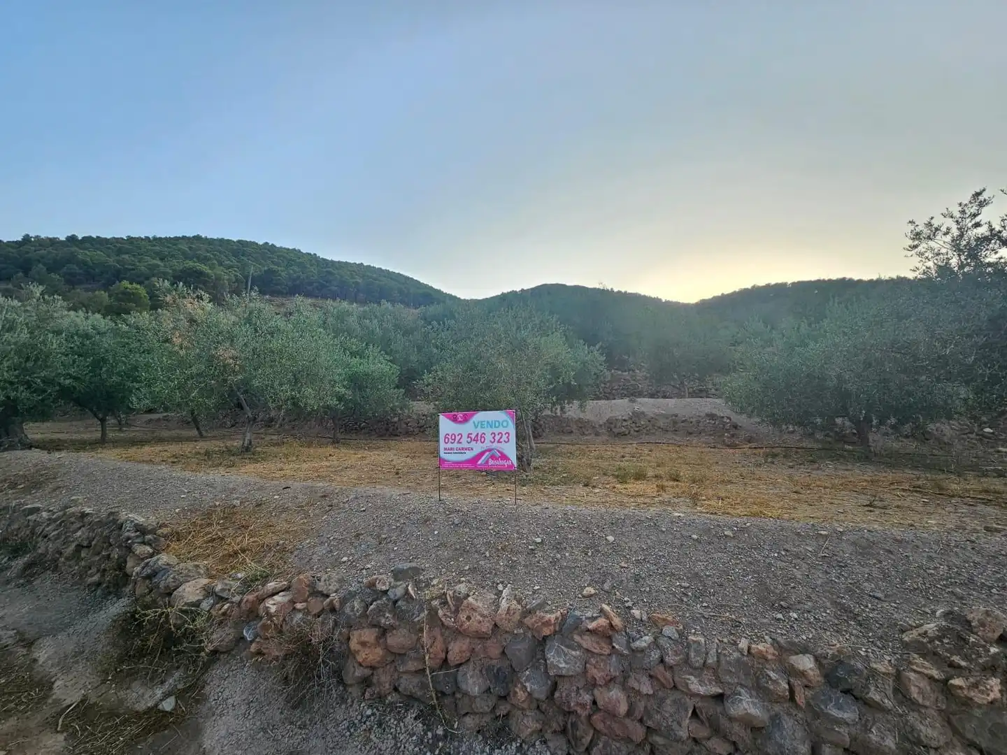 Finca rústica en venda en Fondón