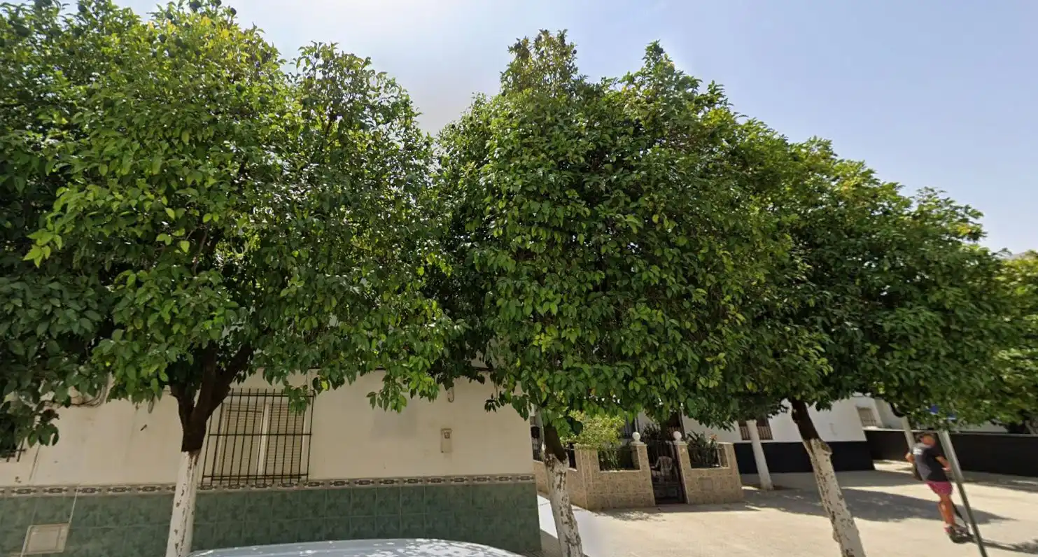 Exterior view of Houses for sale in La Rinconada