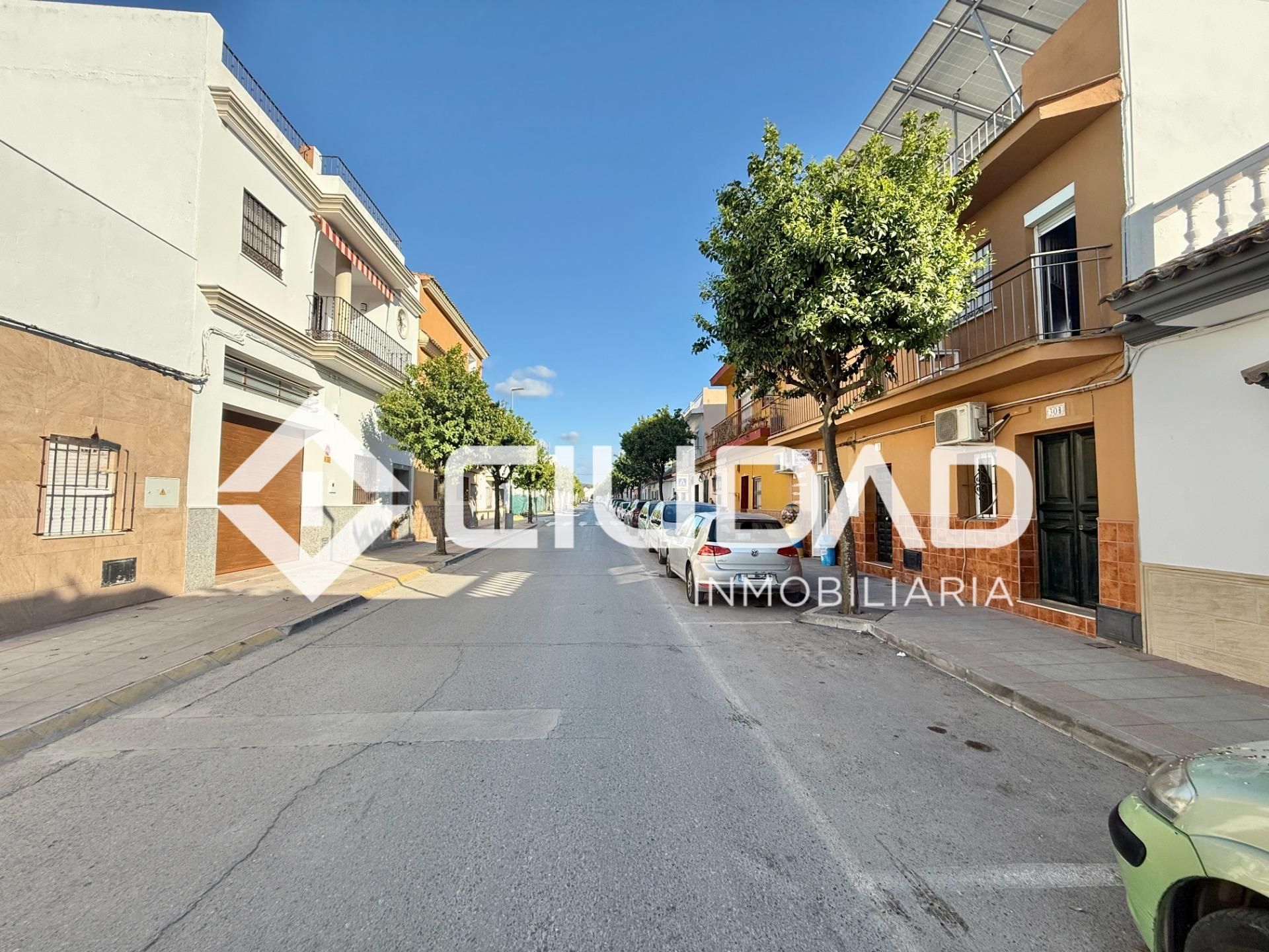 Exterior view of Houses for sale in El Cuervo de Sevilla