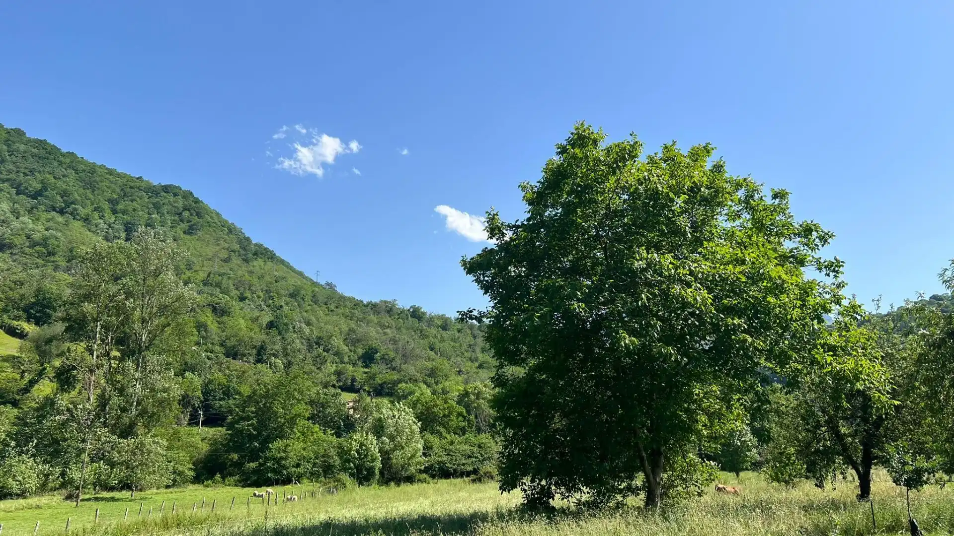 Casa o xalet en venda en Amieva
