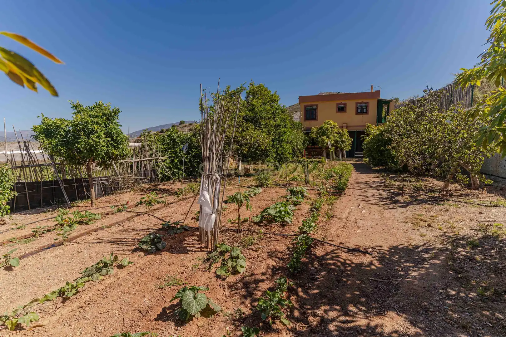 Jardín de Casa o chalet en venta en Motril