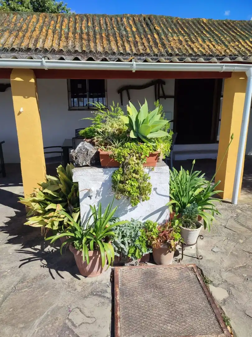 Casa amb piscina en venda a Arcos de la Frontera, imagen 7
