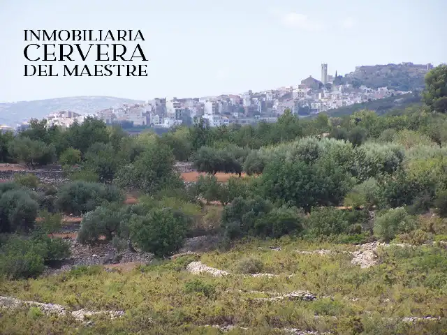 Rural land for sale in Cervera del Maestre, imagen 7