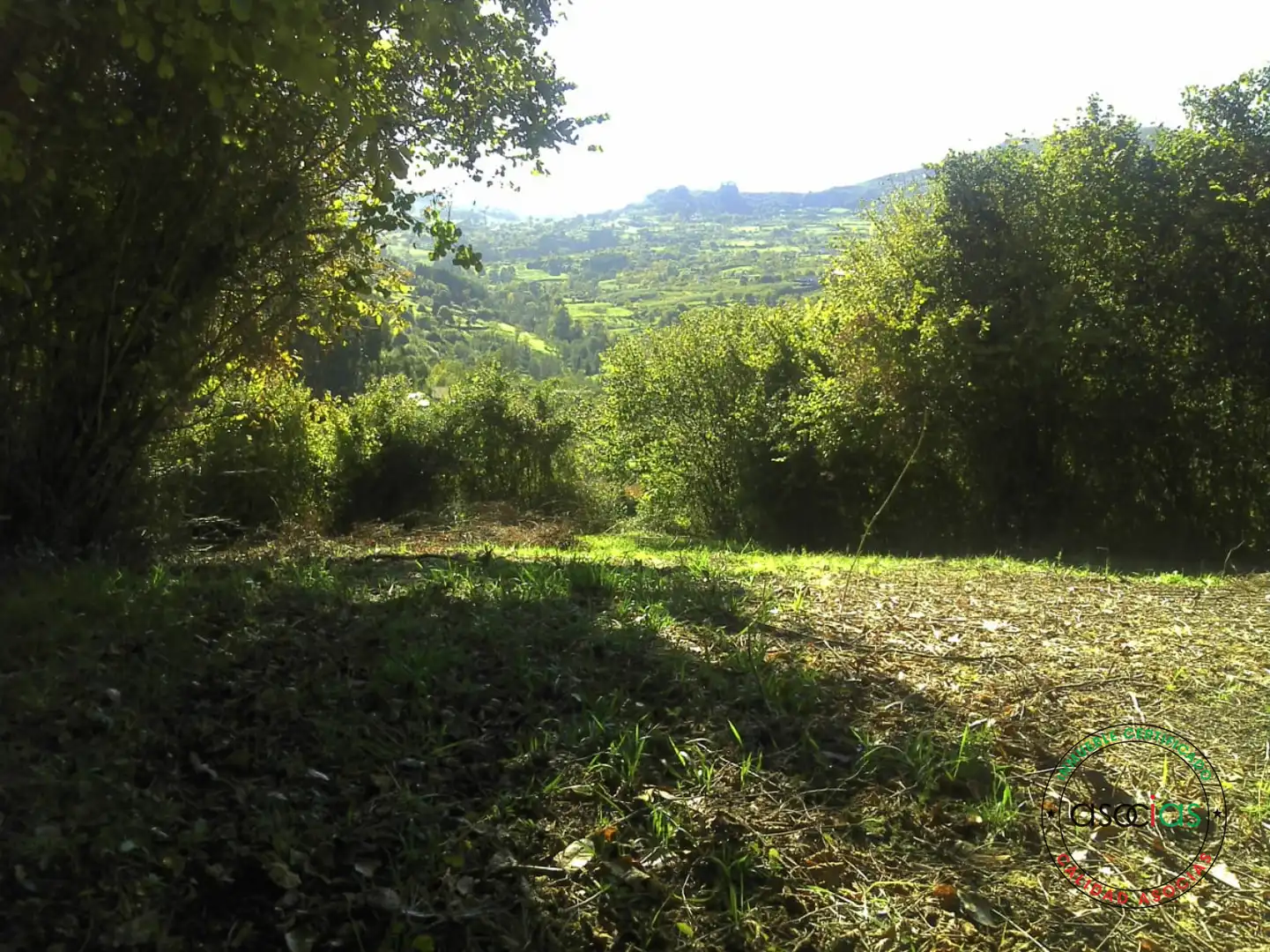 Terreno rustico in vendita a Gijón - BARRIO SAN PELAYO - CALDONES
